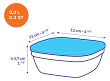 Freshbox Glass Square Bowl Product Image 8