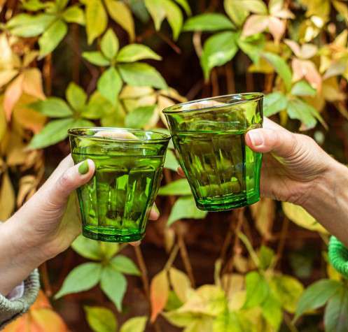 Le Mieux リキュールセット グラス デキャンタ 24金 金彩 カップ Green Picardie Glass Tumblers Set of 6 – Duralex USA